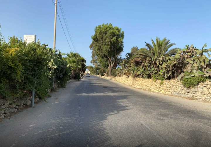 Gozo Road Project Faces Backlash Over Tree Removal