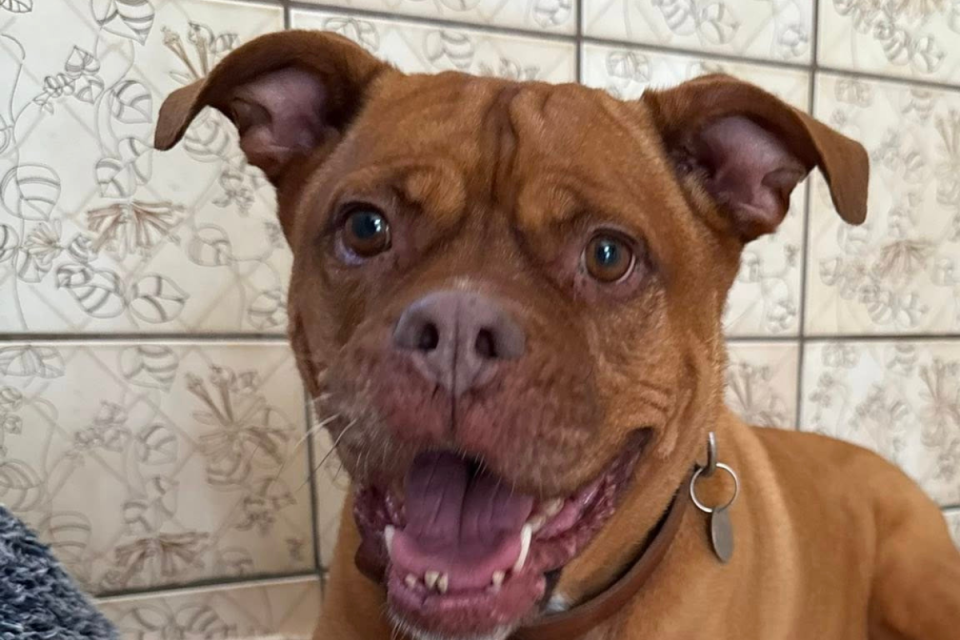 a4f50271c9560a68bc1bb0762e42cc9b032487e3 1768563482 2113251c 960x640 1