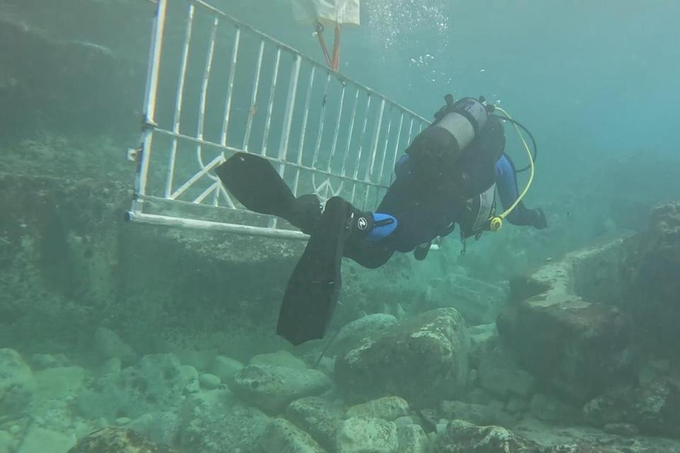 Water Polo Players and Divers Clear 430kg of Debris from Sliema Seabed After Storm Harry