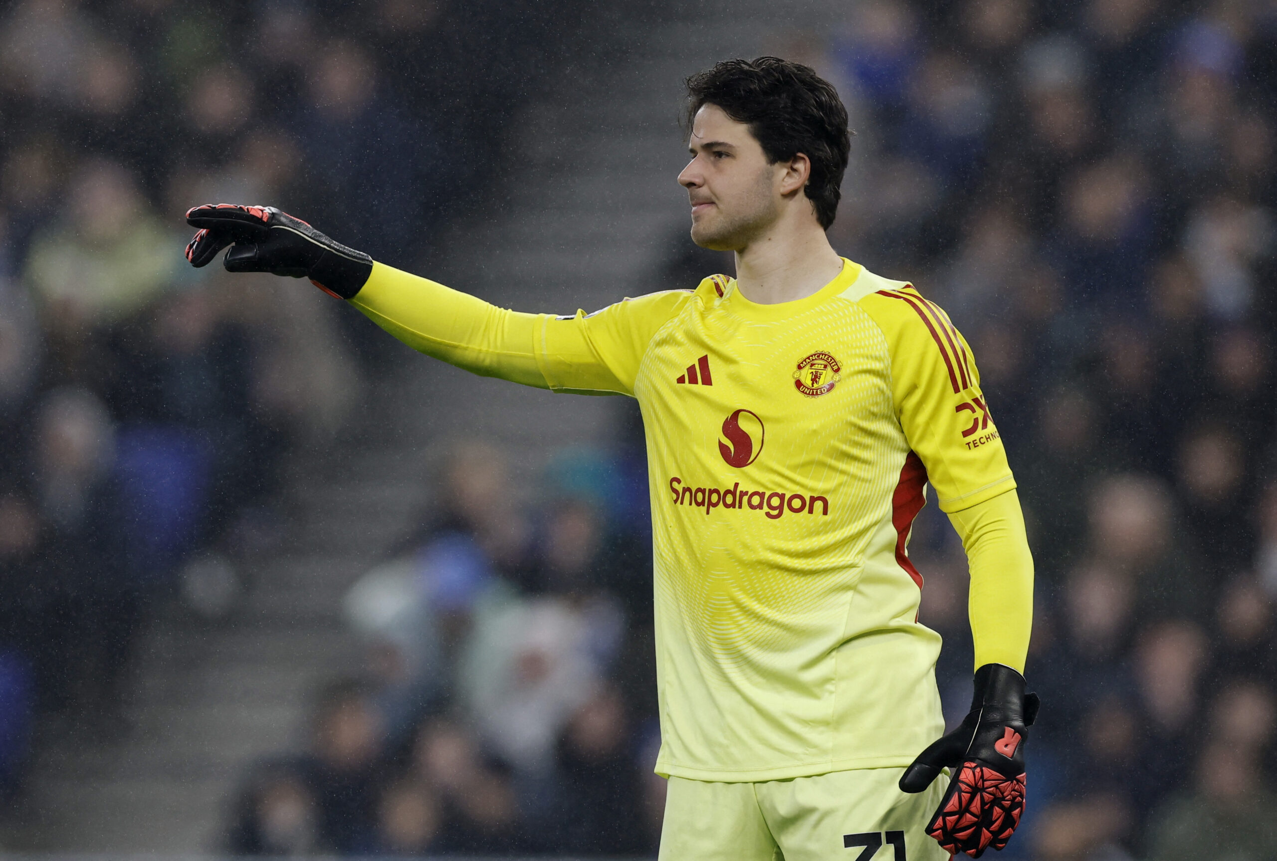 DGQLTQNF2UWPF355QS6S52DKCQ scaled