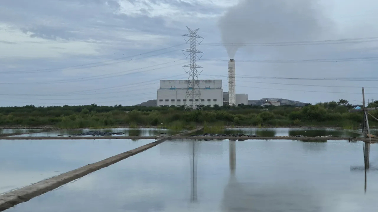 PLTSa Benowo Proyek Berisiko WALHI Jatim Tagih Keterbukaan Pemkot Surabaya EPOCHSTREAM