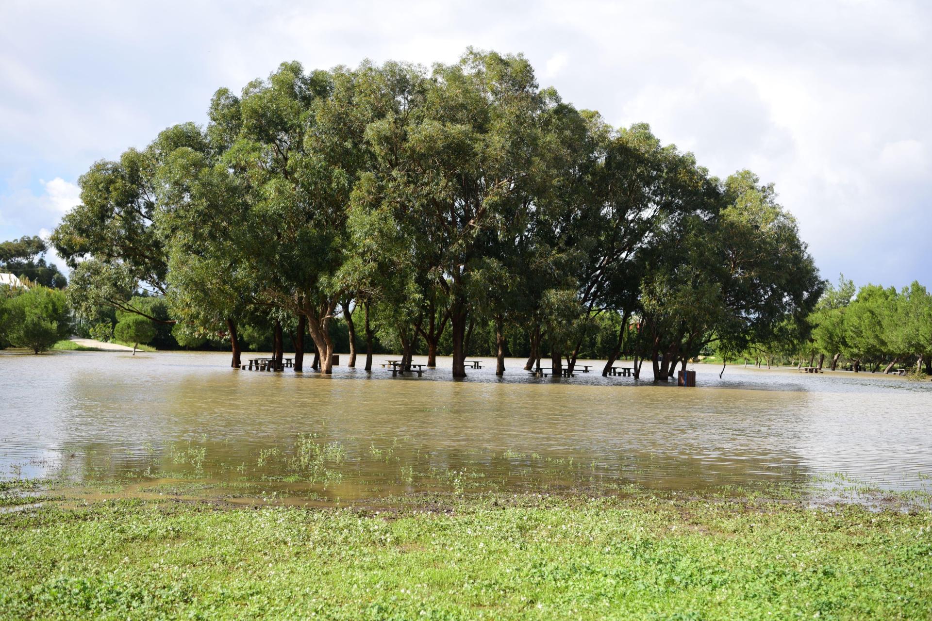 Ta' Qali Picnic Area's New Look Comes with a Hefty Price Tag 4 ab86fd37927cdcfa418f620471d1b0fee9f81aaf 1757074990 ff9d3562 1920x1280 1
