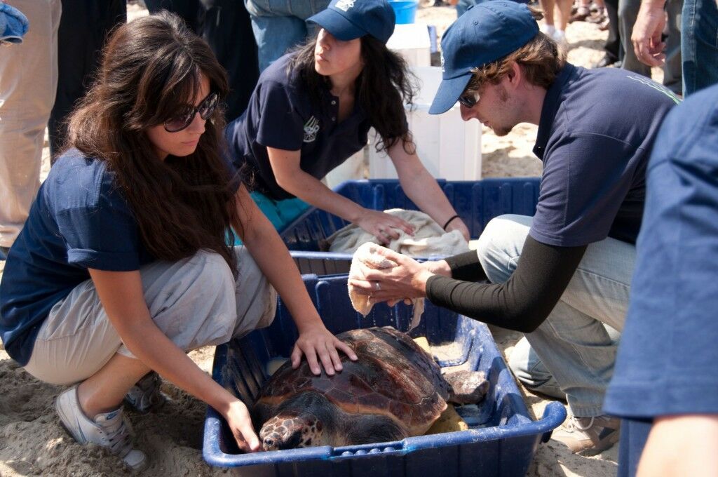 Nature Trust Malta and Atlas Insurance Partner on Water for Wildlife Initiative 2 Turtles release 1024x680 1