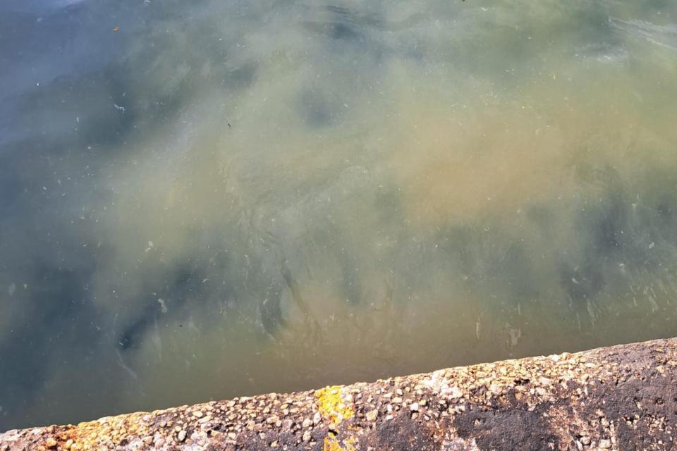 Residents Report Foul Odor at Sliema Ferries and Suspect Raw Sewage 12 e68da299bfd70945dcf0a3ac51e681ed22fe5869 1732178931 d9cbe44a 960x640 1