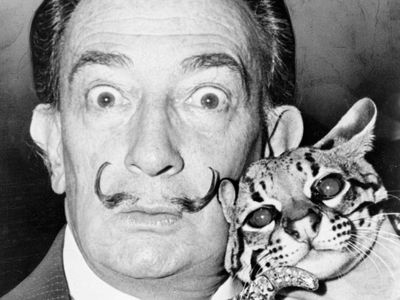 Salvador Dalí: A 20th-Century Renaissance Artist 11 salvador dali with ocelot 1965