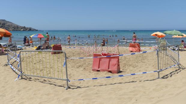 Turtle Fails To Nest At Golden Bay After Sunbeds Block Path 40 Turtle Fails To Nest At Golden Bay After Sunbeds Block Path